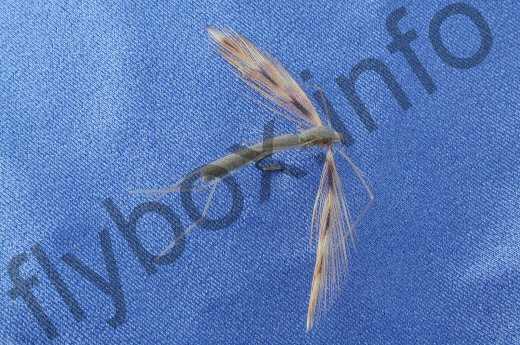 Fish4Flies Scott's Daddy